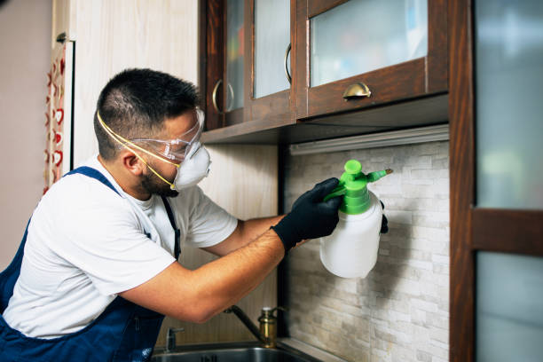 Best Rat Extermination Near Me  in Hartsville, TN