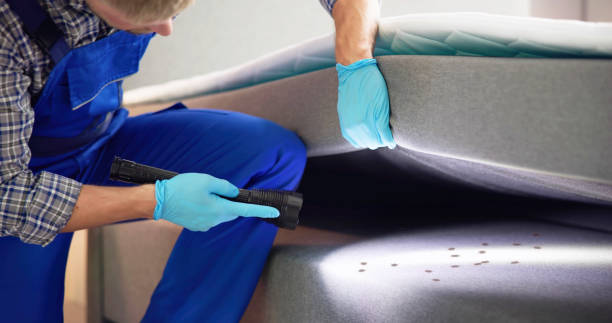 Professional Pest Control in Hartsville, TN
