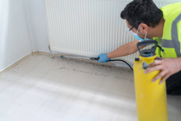 Best Ant Control Services  in Hartsville, TN